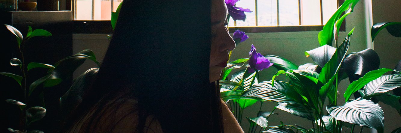 MuchosLirios's profile banner image