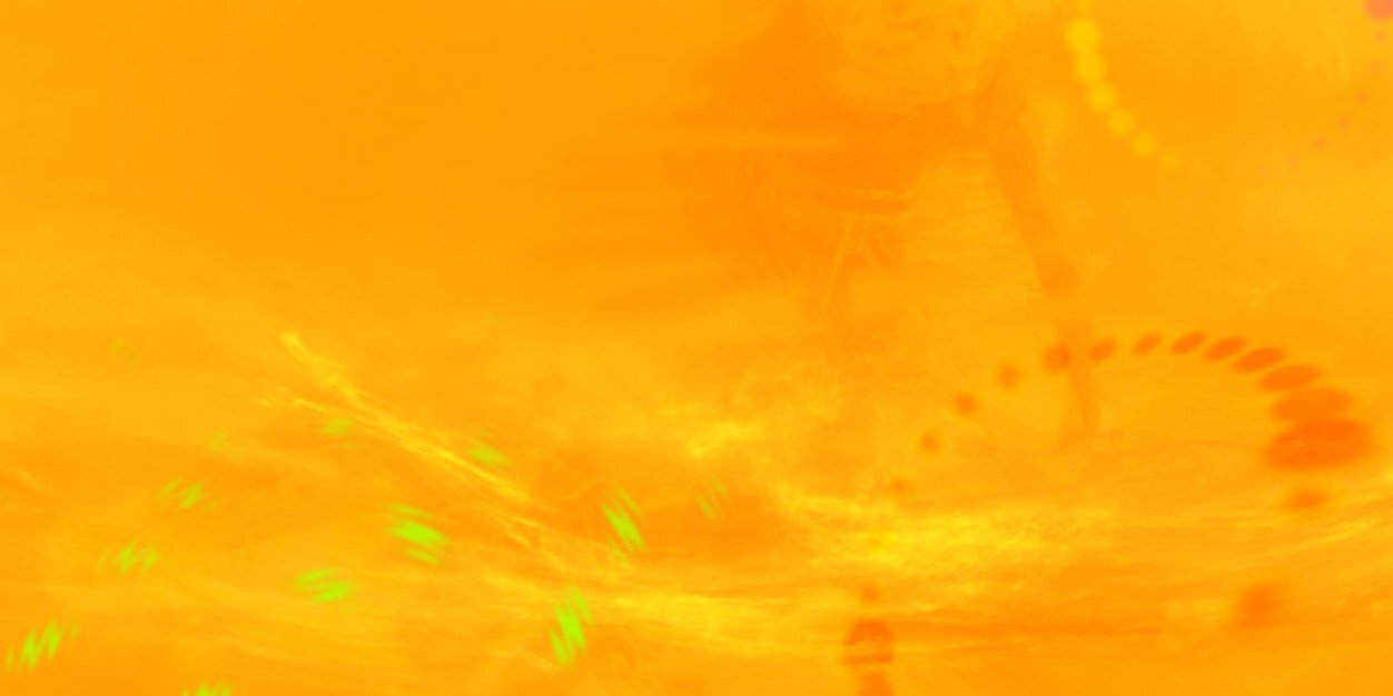 ElVacilonNYC's profile banner image
