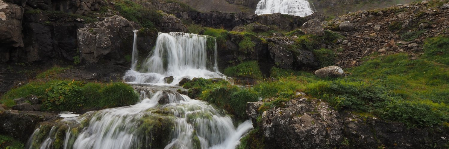 Kevin Krewell banner