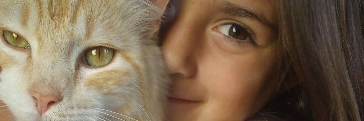 Cotidelias8's profile banner image