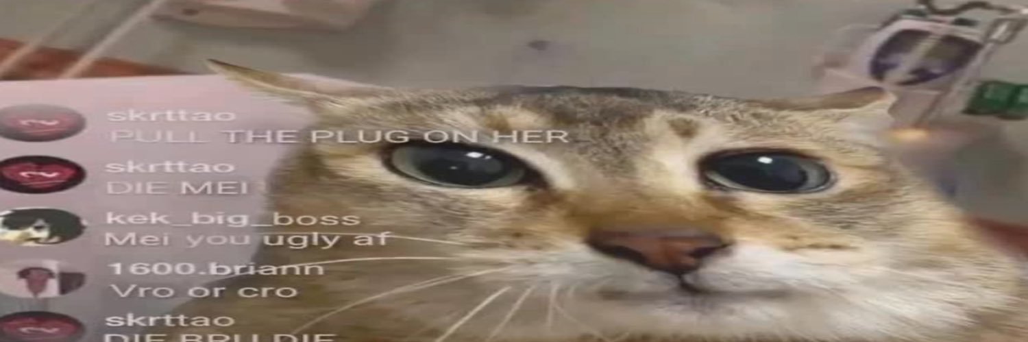 p(ash)ionfruit juice banner