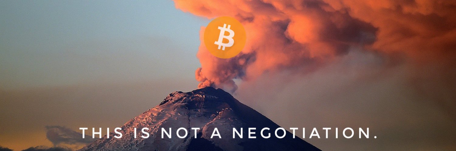 THE ACCOUNTANT 🟩........…THE BITCOIN CORPORATION banner