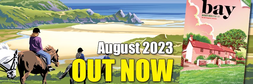 Lesley Williams banner