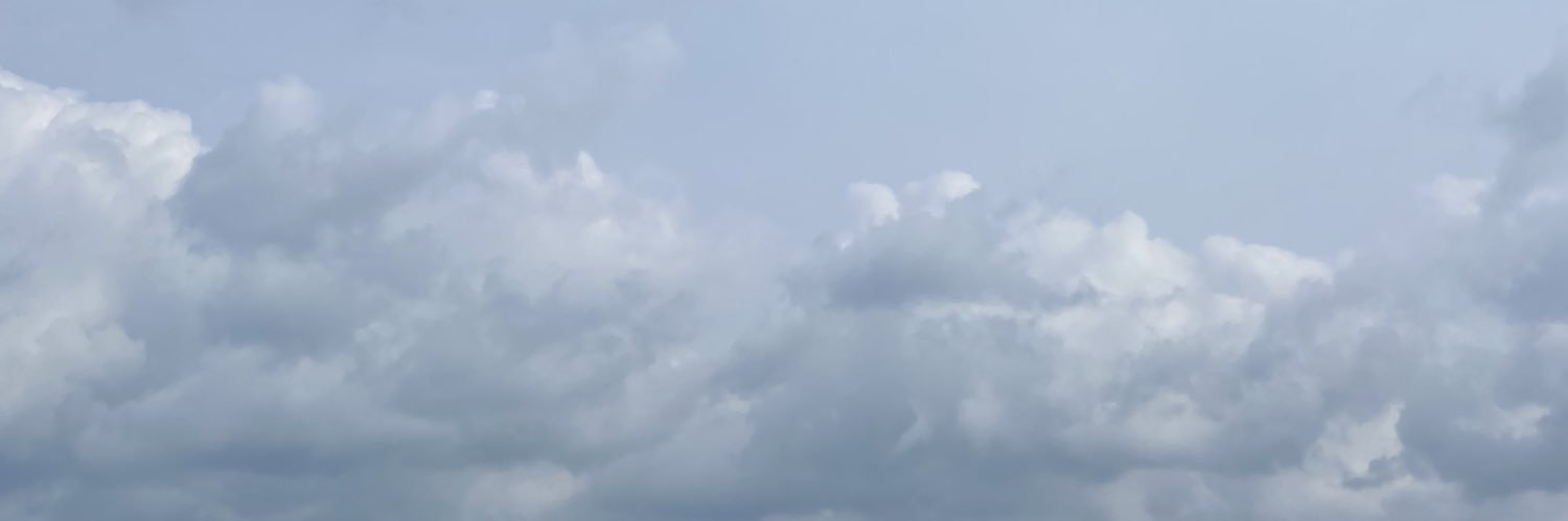 Scott banner