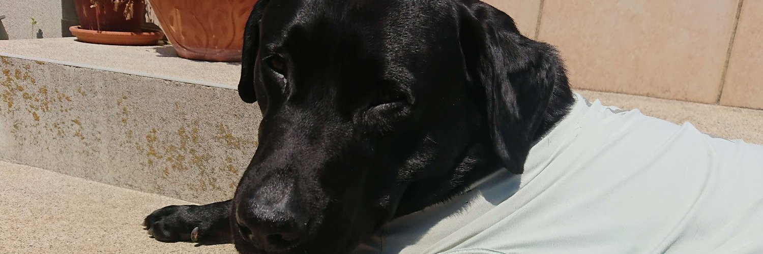 Seventh/七番 banner