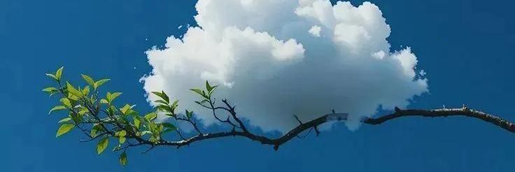 𝐉𝐎𝐍'𝐙 ✴️ banner