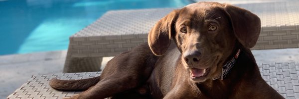 ADukeFunk Profile Banner