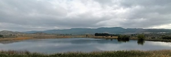 cespatolero Profile Banner