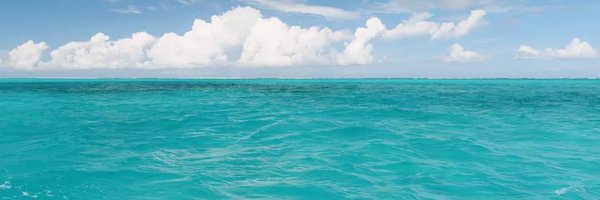 chriswaterguy Profile Banner