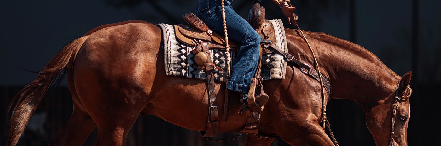 〰 Kyra Bonik 〰 banner