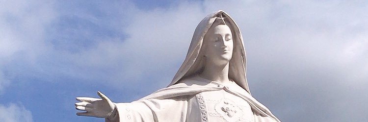 えびまよ☻🇩🇪 banner