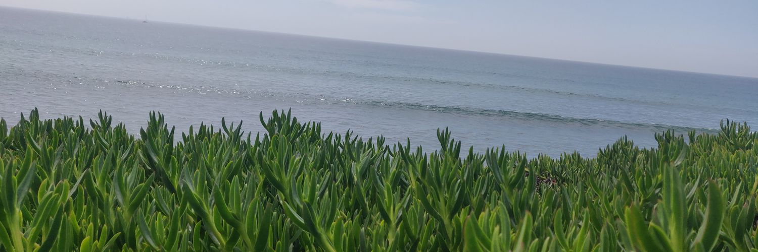 Banerjee_93's profile banner image