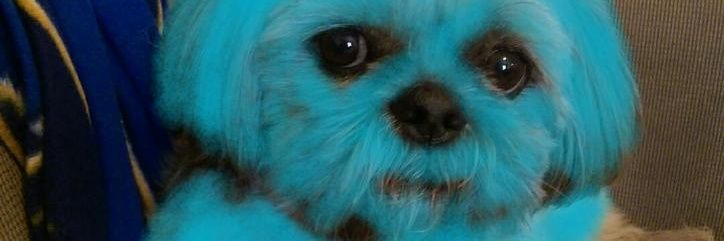 BuzzfeedRon's profile banner image