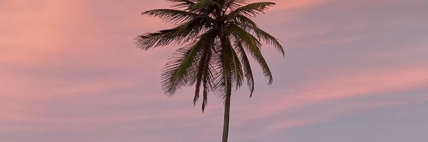 ktmarchan's profile banner image
