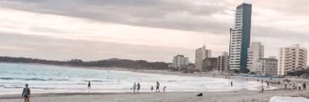 rachelle_ds's profile banner image