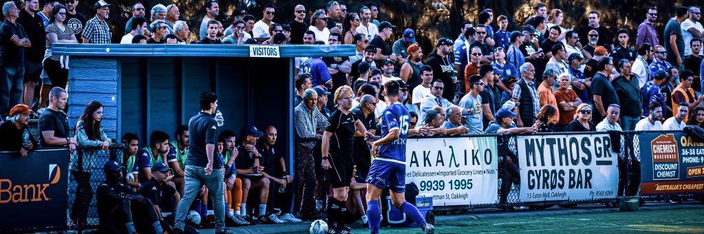 Marco Jankovic banner