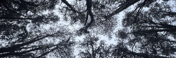 ReshSriram Profile Banner