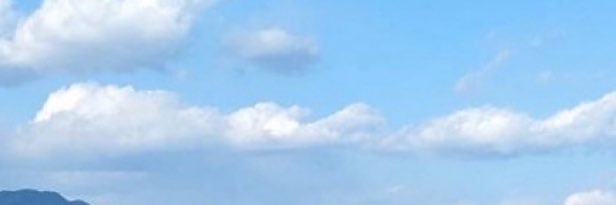 s banner