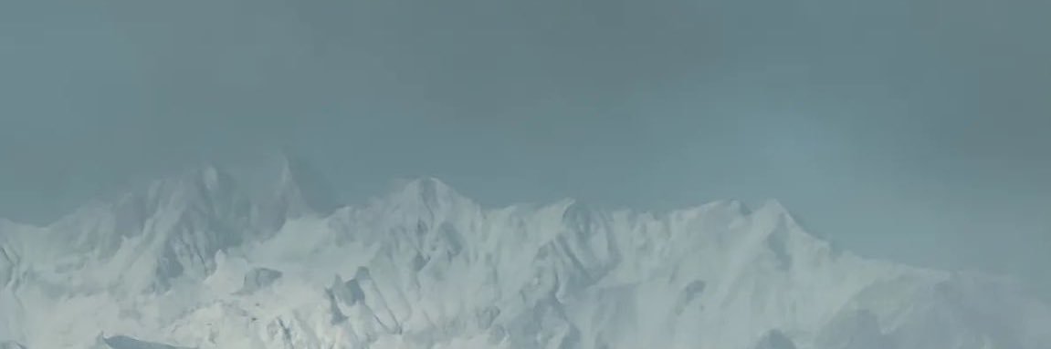 arbarecoin's profile banner image