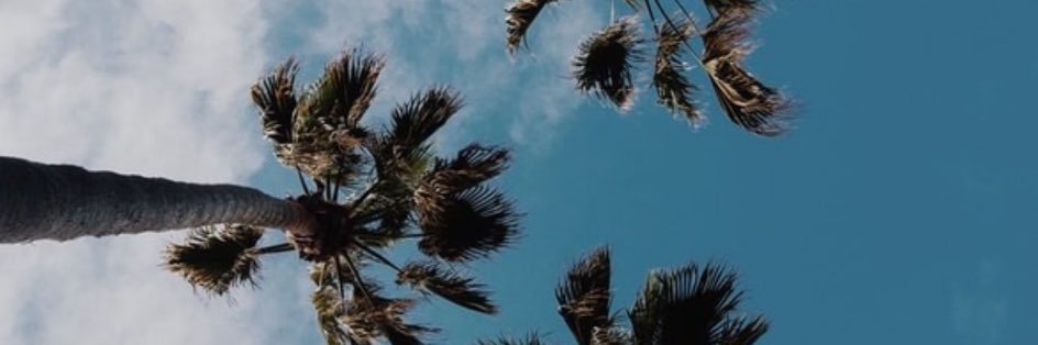 coconaaas's profile banner image