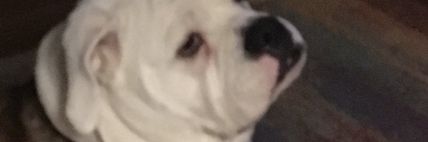 johnshilpetski's profile banner image