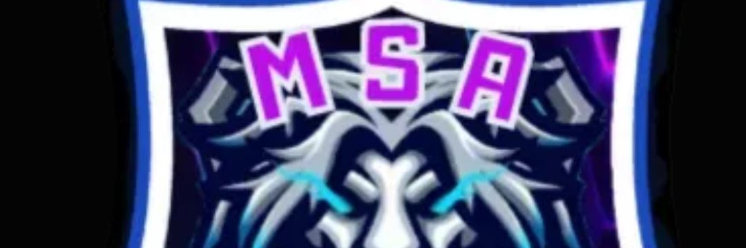 MSA MAD LIONS banner