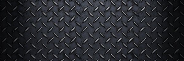 Steel_Rays Profile Banner