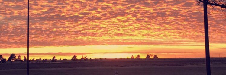 jara_adolfo's profile banner image