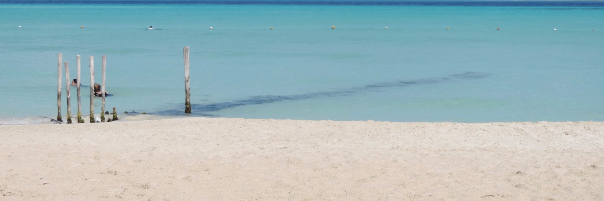 MatiNicoletti's profile banner image