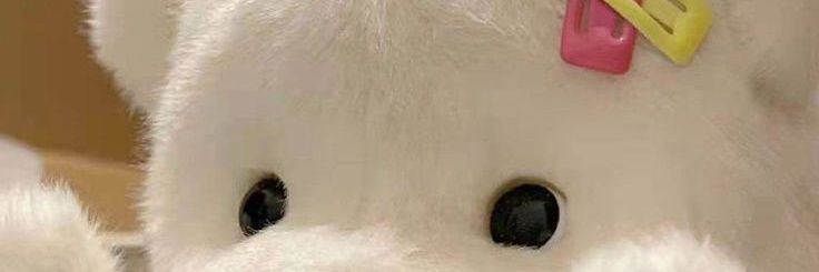 Dydy rest sbt dulu banner