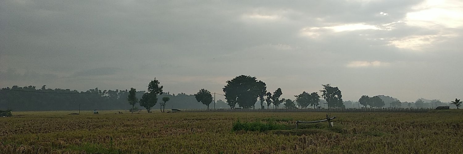 hamardybaz's profile banner image