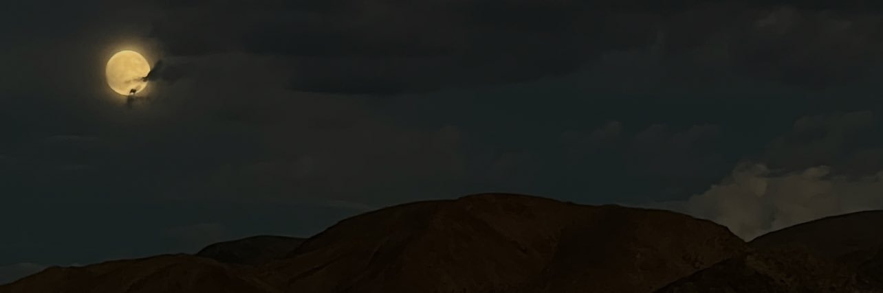 kevitoee's profile banner image
