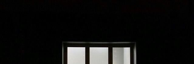 bosq_q banner