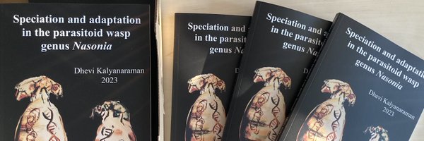 dhevikalyanara1 Profile Banner