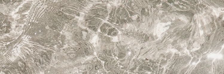 seethinut's profile banner image