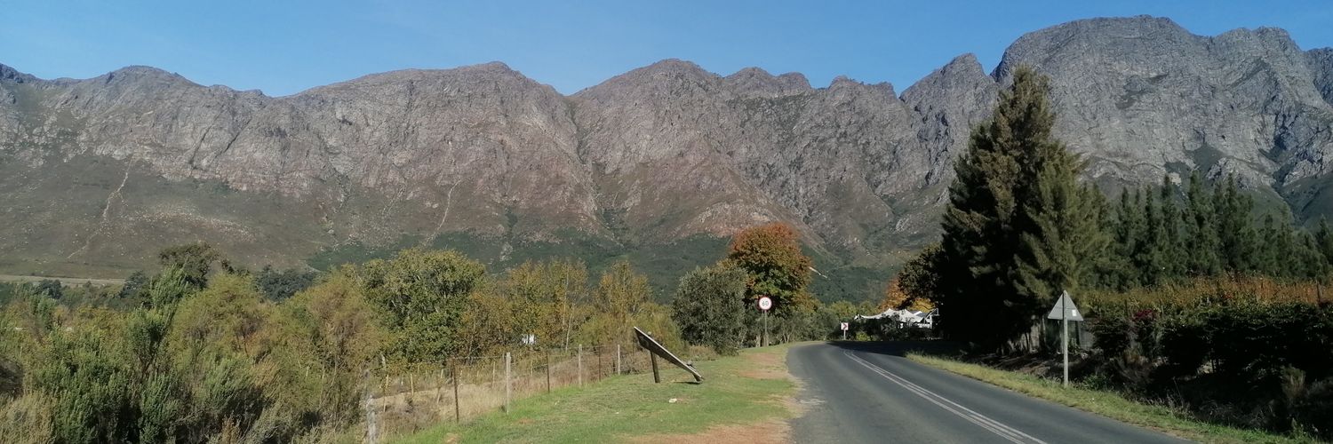 Nthabi banner