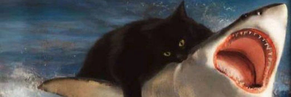 my name isn't Andy banner