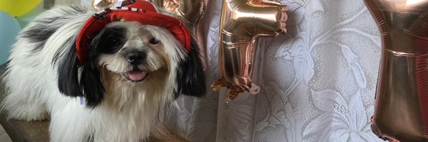 CryptoBoo31 Profile Banner