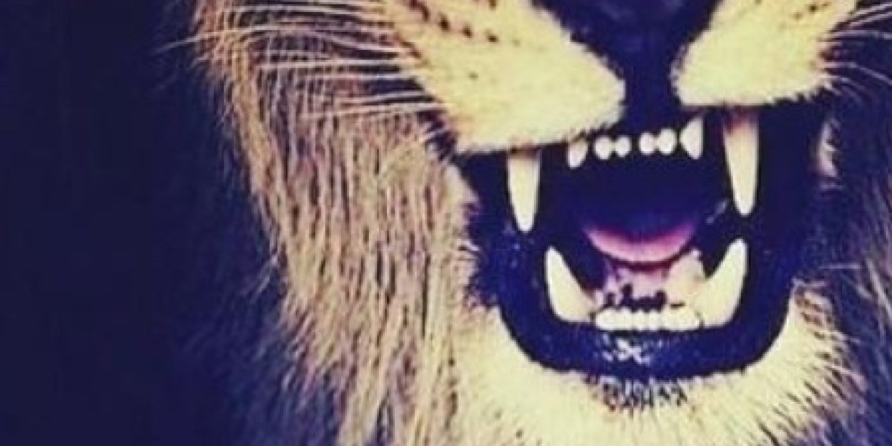 _lauralynn19's profile banner image
