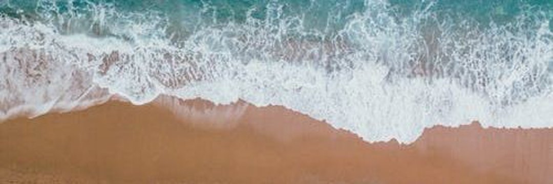 HindustaniDog's profile banner image