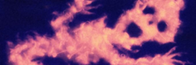 ozzy banner