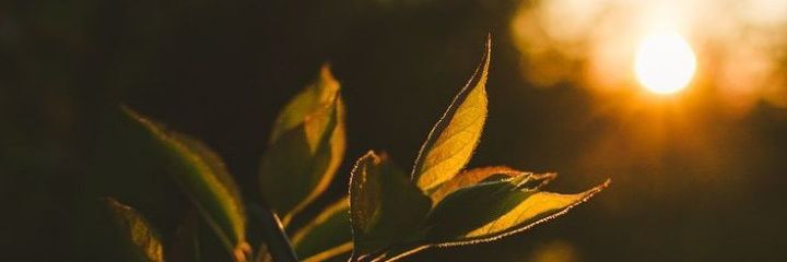 raffaassis's profile banner image