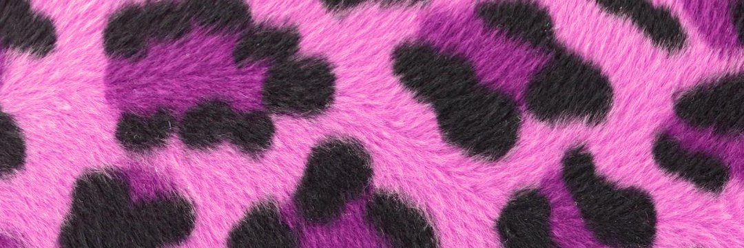 leopardprint24's profile banner image