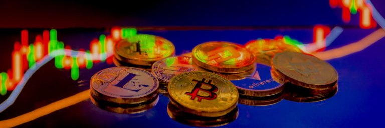 btc_tribe's profile banner image