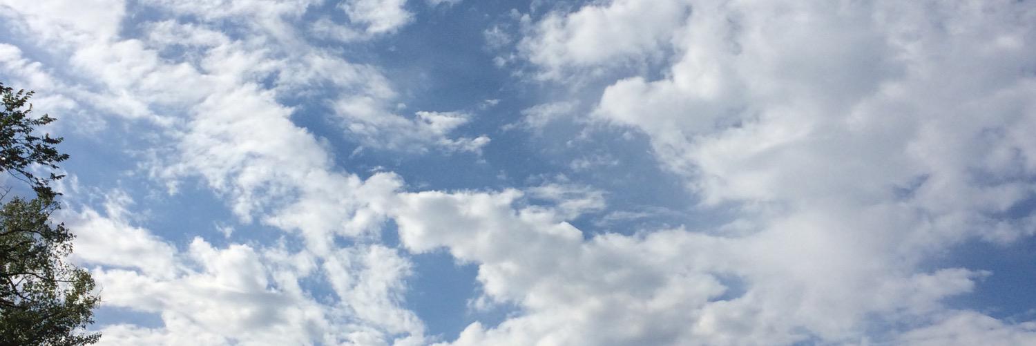 Julie (피치 포지티브🍑)'s banner