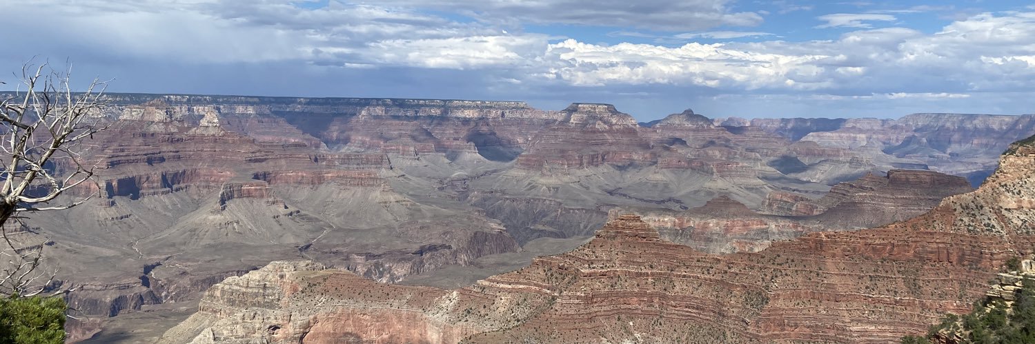 Julia Fischer 🐠 banner