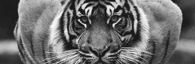r¤B£rtø  banner