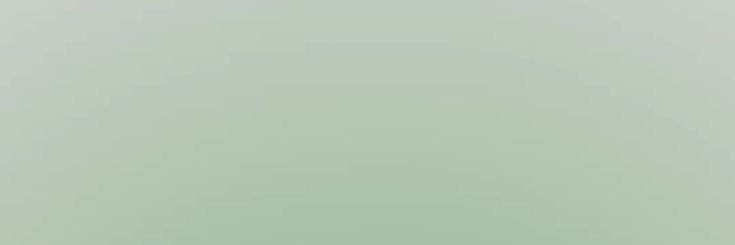 • banner