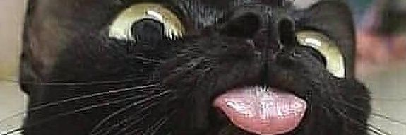 𝙅𝙊𝙈𝙅𝘼𝙈 banner