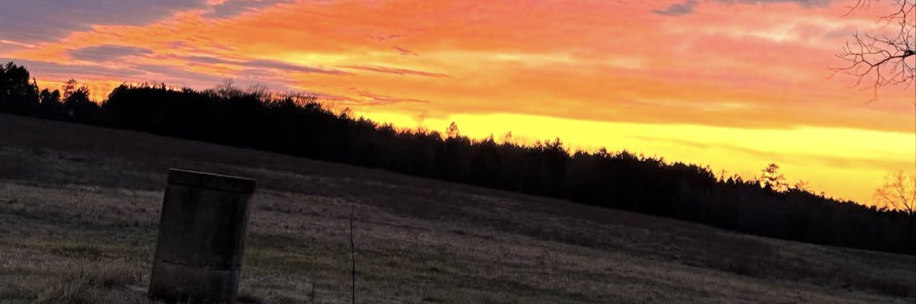 AliciaReis886's profile banner image